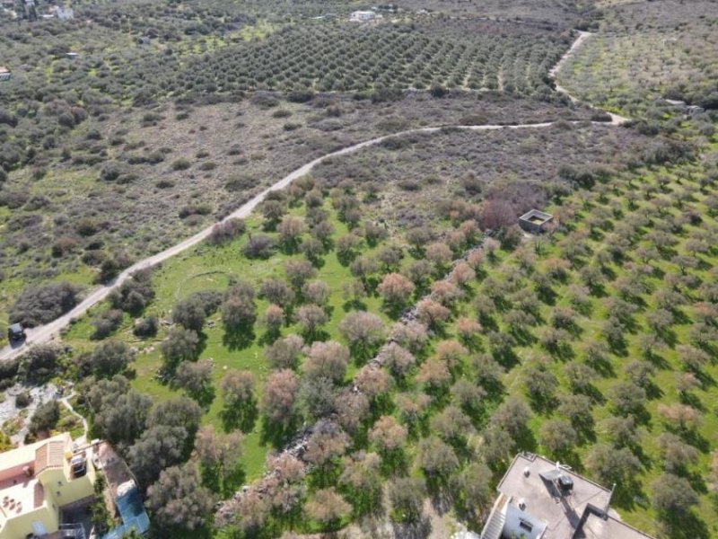 Milatos Kreta, Milatos: Baugrundstück im Zentrum in Meeresnähe zu verkaufen Grundstück kaufen